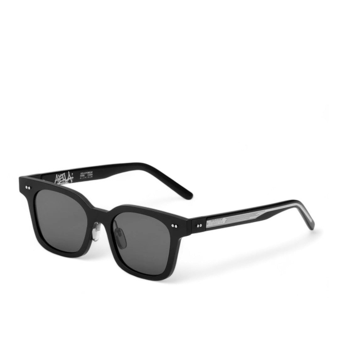 Hi-Fi x Krink Sunglasses