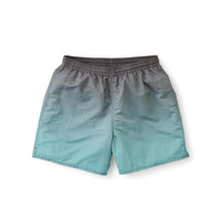 Tide Swim Short